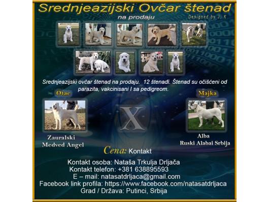 Srednjeazijski ovčar